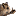 ضبع