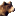 دب